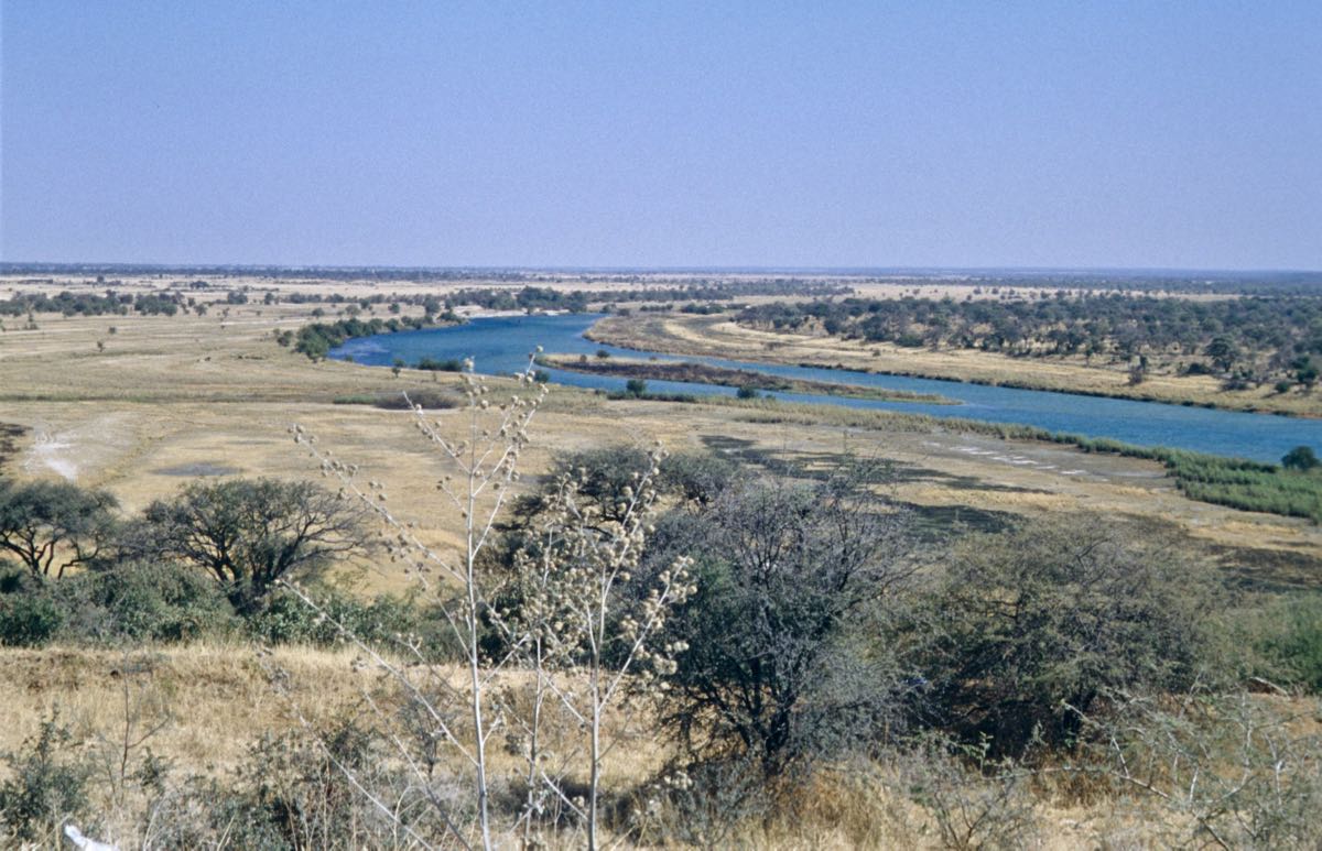 okavango.jpg